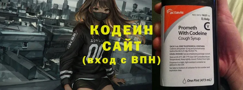 omg вход  Ленинск  Кодеиновый сироп Lean Purple Drank  где купить  